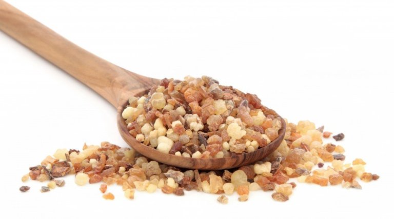 Frankincense-Feature